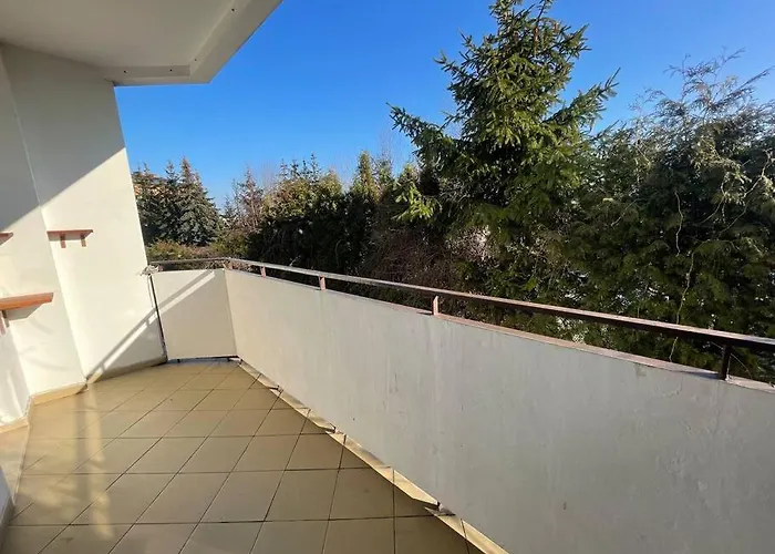 Vip Kolorowa Rzeszow